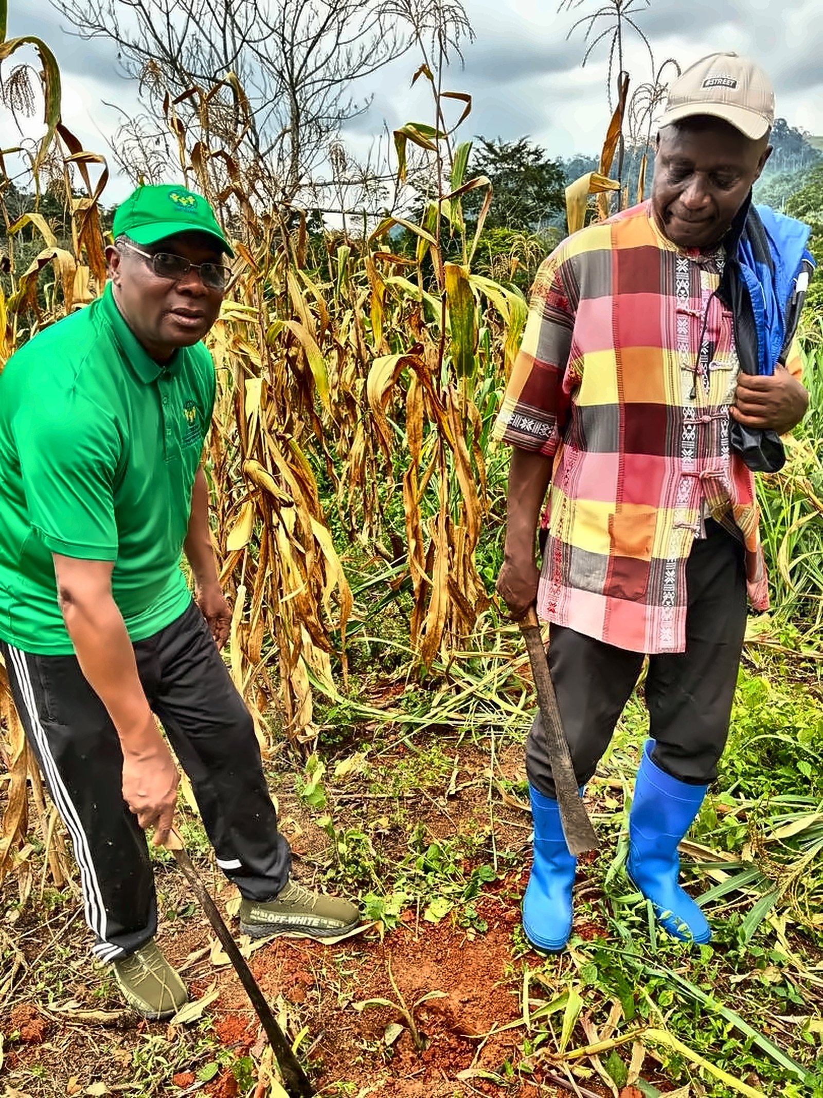 Community environmental management and waste management activities