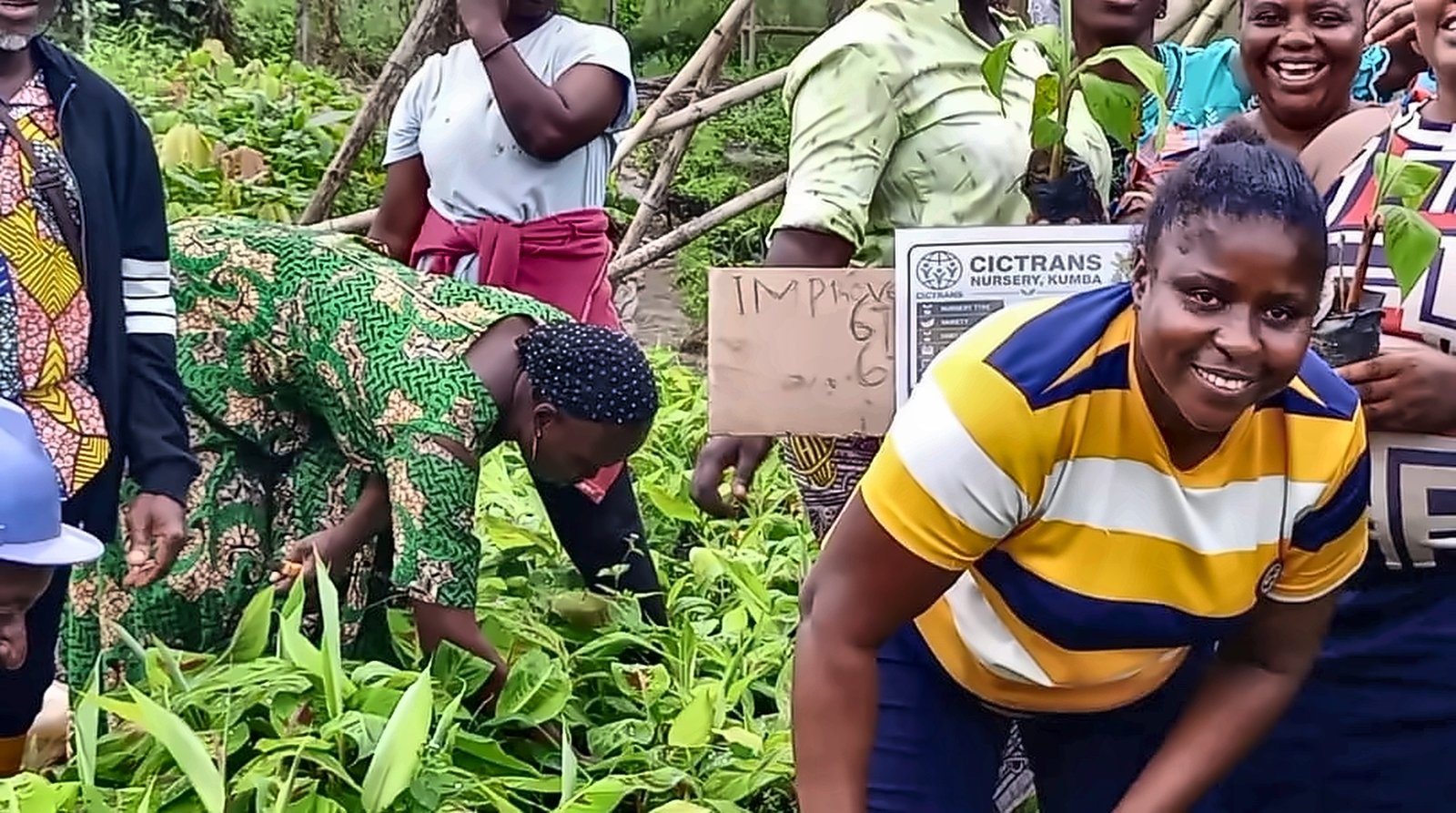 CICTRANS nursery and community engagement