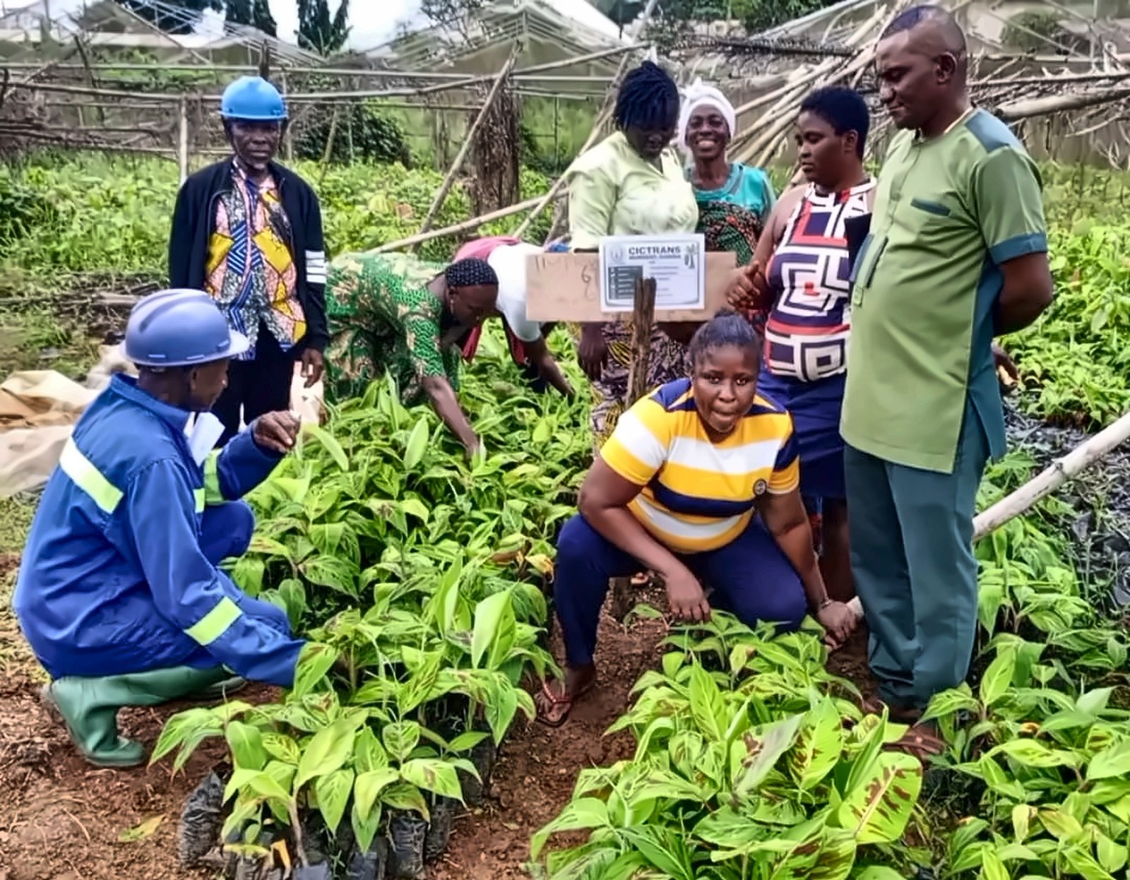 Agriculture and community livelihood activities