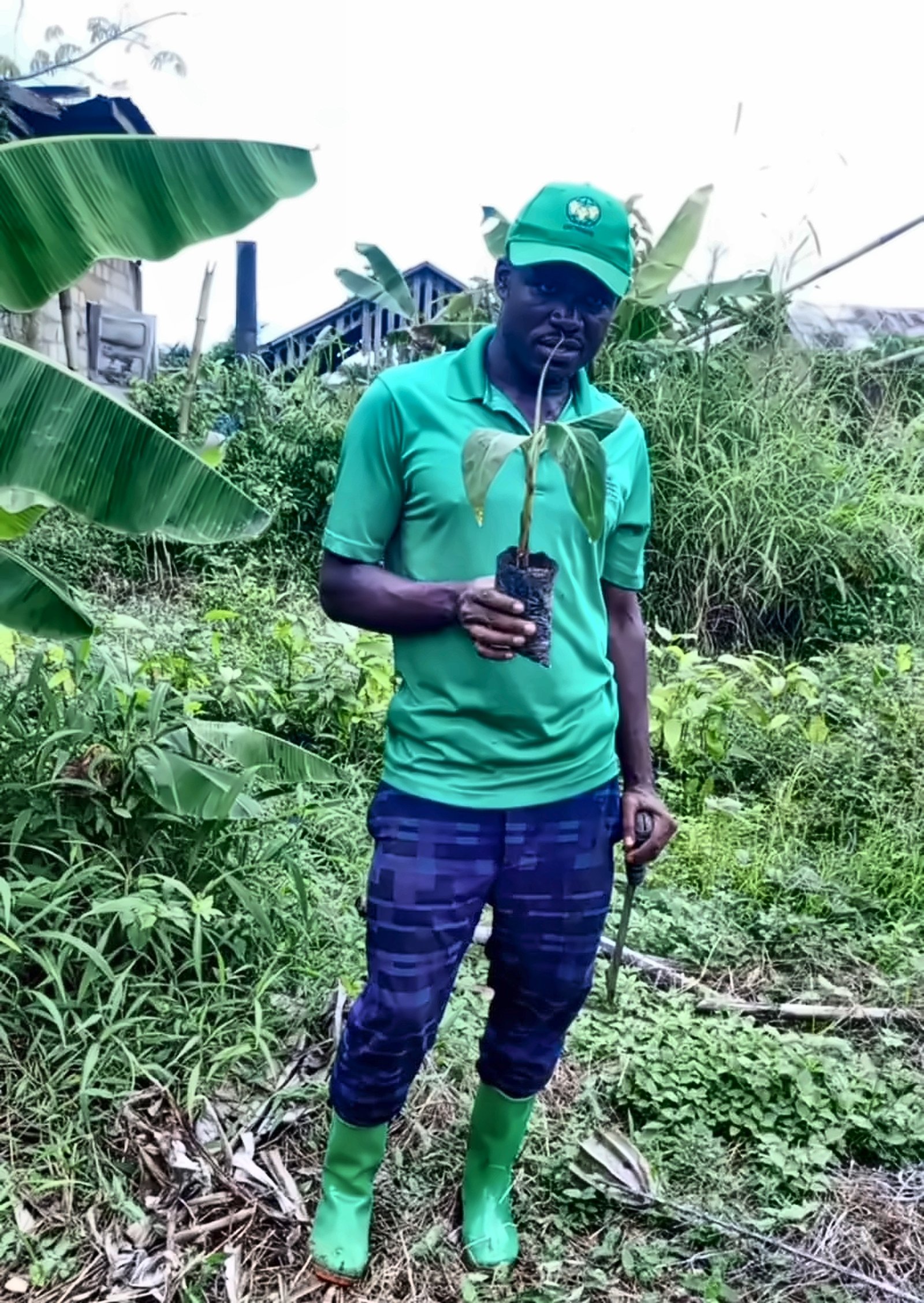 Forest resources and sustainable forest-based livelihoods